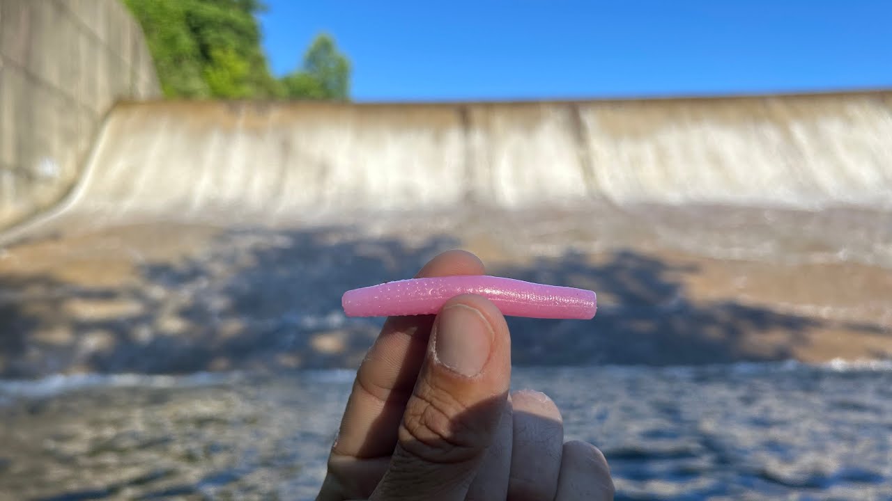This Indiana Spillway Holds Monster fish