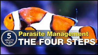 Solving fish parasites with one of two paths: Management vs. Eradication. How UV can help!