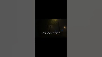 ياسر الدوسري - سورة التوبة