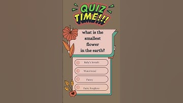 Quiz Template | Canva Templates | #canva #shorts #quiz    #canvatemplates
