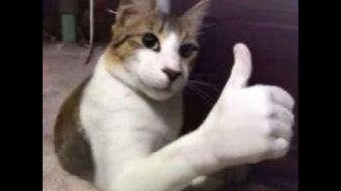 roblox crash fix after byfron update