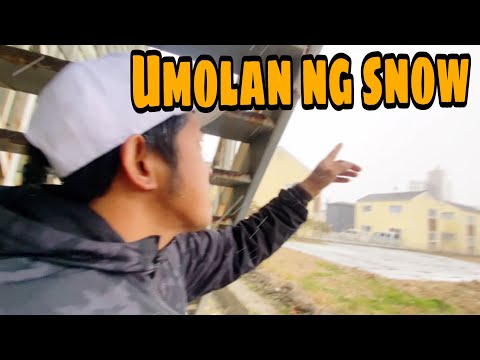 Umolan ng snow sa buong toyohashi ang lamig
