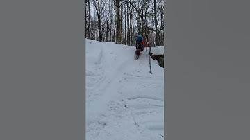 Lynx Snowmobile meets tree  #snowmobile #fail #snowmobilefail #crash #skidoo #polaris