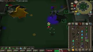 Osrs - Grotesque Guardians Speed Runner