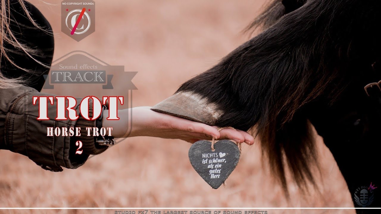 Sound effects of the sound of Horse trot⚡the sound of a trotting horse