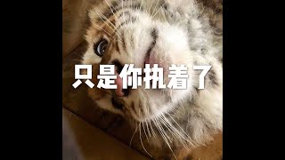 201502 只是你执着了21377