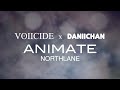 Voiicide x daniichan  animate northlane cover