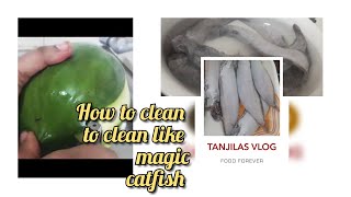 How to Clean catfish/horn fish  like magic with papayapeelমাজা ঘষাছাড়া ম্যাজিকেরমত শিংমাছপরিষ্কার