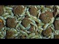 【閲覧注意】スピルリナを食べるカイミジンコ Ostracoda 貝蚤【アクアリウム】