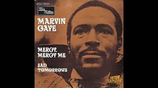 Marvin Gaye  Mercy Mercy Me (FUTUR Sample EDIT 1 Hour)