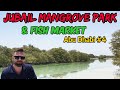 Абу-Даби: Мангровый парк Джубайль (Jubail Mangrove Park), рыбный рынок - цены и приготовление