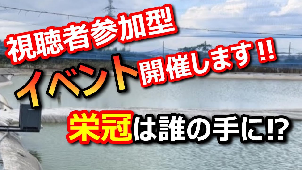 【金太郎錦鯉】春の最大通信イベント‼️  賞金をゲットするのは誰だ‼️ #koi #koifarm