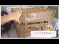 Vlog reborn l jai reu un colis de 10kg 