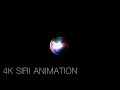 4K Siri Visual Animation 30 Minutes