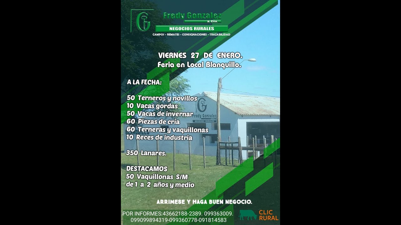 27/01/2023 Blanquillo Fredy González y Cía Ltda YouTube