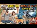 【永久保存版】これが犬の問題行動改善と犬のしつけのポイントだ！