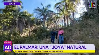 El Palmar: Una "joya" natural de Bolivia