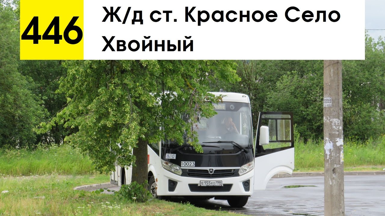 Автобус 446 хвойный