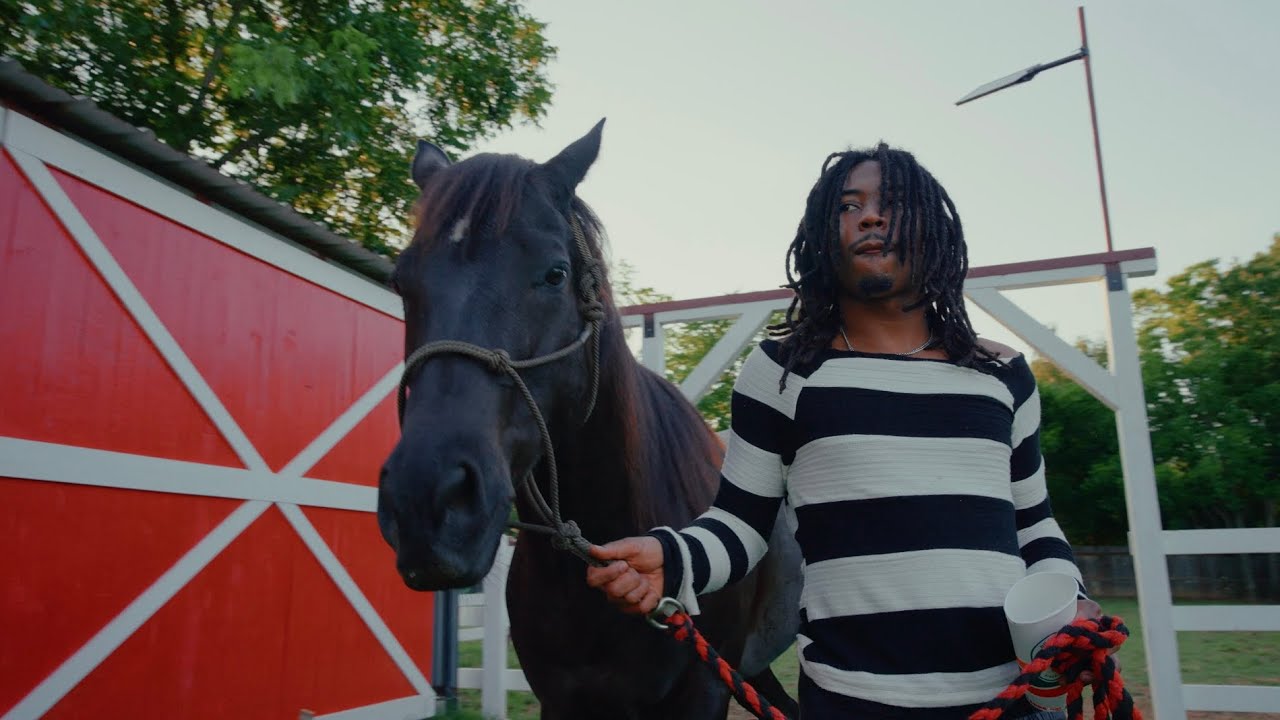 Guarda Shawn Indiigo - UTK su YouTube Guarda Shawn Indiigo - UTK su YouTube