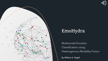 UR-94: EmoHydra: Multimodal Emotion Classification using Heterogenous Modality Fusion