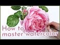 How to paint a realistic rose flower in watercolour