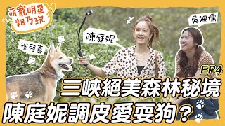 [SUB] EP4 雙喜臨門 陳庭妮 Sandy 三峽祕境之旅 呵喜 Chelsea 茶園樹林探險去發現隱藏老宅鍋烤鬆餅【 萌寵明星粗乃玩 】今天Outdoor去