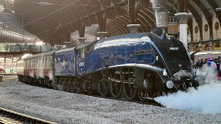 A4 60007 Sir Nigel Gresley Makes A Beautiful Appearance At York Platform 5 - 21112025