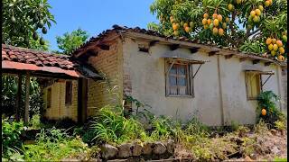 Casa Abandonada 🏚️ Finca Manizales Fruta 🍇🥭🍒🍏🍈