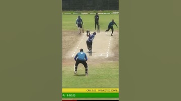 CricHeroes Live: Exploring the Thrills and Drama of Local Cricket