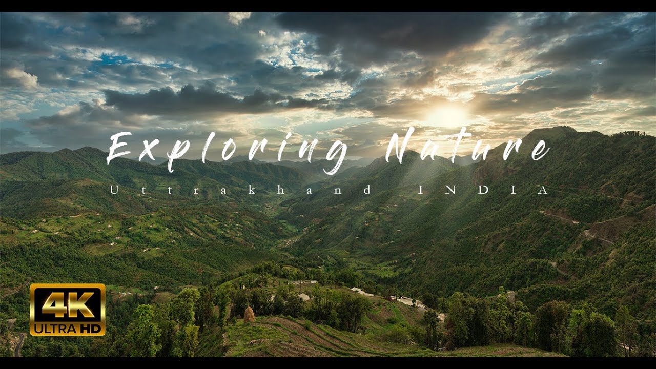 EXPLORING NATURE : Cinematic Video //Sony a7iii.