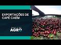 Exportações de café caem 8% em março - HORA H DO AGRO