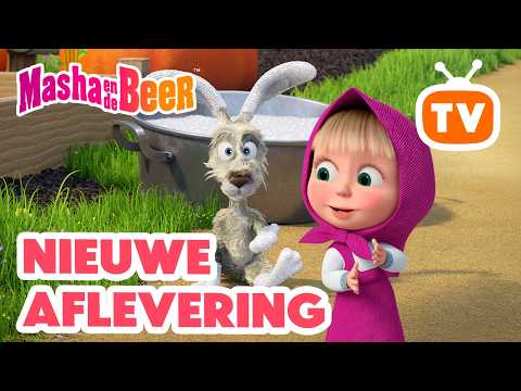 NIEUWE AFLEVERING 💥 Glibber en glij 🐰🧼 Collectie voor kinderen 👱‍♀️🐻 Masha en de Beer