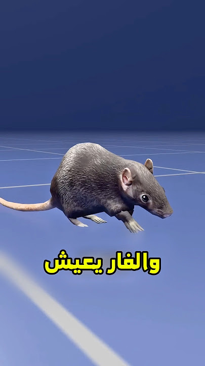 مين يعيش أكثر 😱 #shortvideo