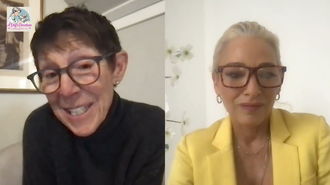 Deeper Love, the gift of older dogs.