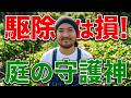 【駆除は逆効果】ゲジゲジを殺すとゴキブリが増えます。庭の最強の味方でした!