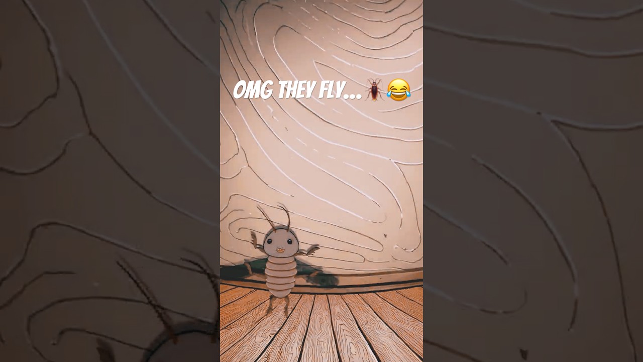 When The Roach Has Different Plans