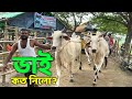 Bhai koto nilo paragram hozrotpur gorur haat 2024  part 10  qurbani cow price in bangladesh