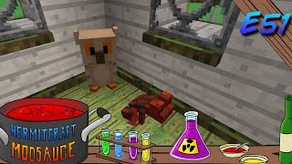Minecraft Mods - ModSauce - OWLS AND TOADS! ( Hermitcraft Modded Minecraft Witchery E51 )