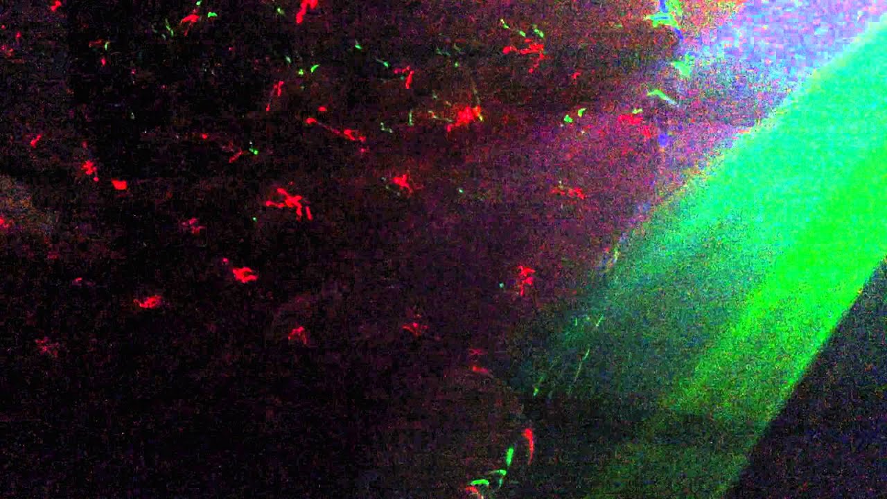 Motorhome dj setup 2