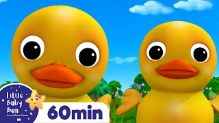 duck song more little baby bum kids songs and nursery rhymes