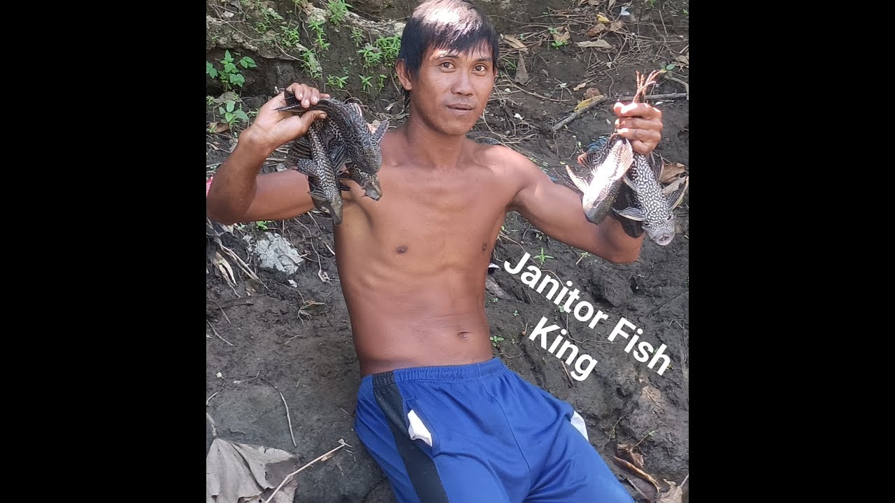 Janitor Fish King YouTube Janitor Fish King YouTube