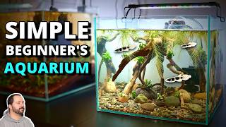 How to Build Your First AQUARIUM | Simple Substrate | Easy Plants Net Worth