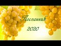 Посланник 2020