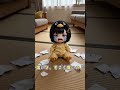 いたずらするからこうなるんだよ#endfield #アークナイツエンドフィールド #エンドフィールド #arknightsendfield #ぐぐがが #アークナイツ#May