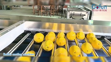 Roller sorting machine