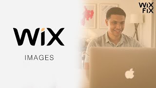 Wix Images (Basic to Advanced) | WIX FIX