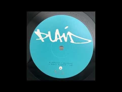 Plaid — Plaid - Angry Dolphin [CLR409]