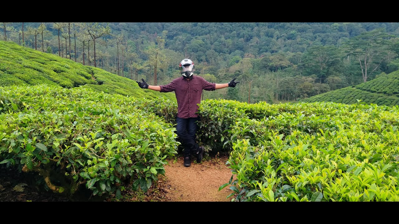 Vagamon - The Hidden Gem of Kerala Tourism