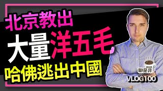 北京教出大量洋五毛！哈佛逃出中國/How Beijing is infiltrating Academia. Your China scholars might be CCP agents/ ENG