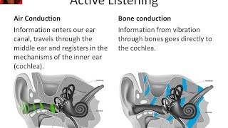 Insight into the bone conduction headset, Forbrain | Maude Leroux, Occupational Therapist